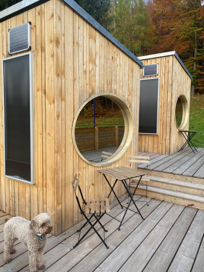 Zinipi Retreat Gelenau "Eber" Villa Wiltzsch Exteriör bild