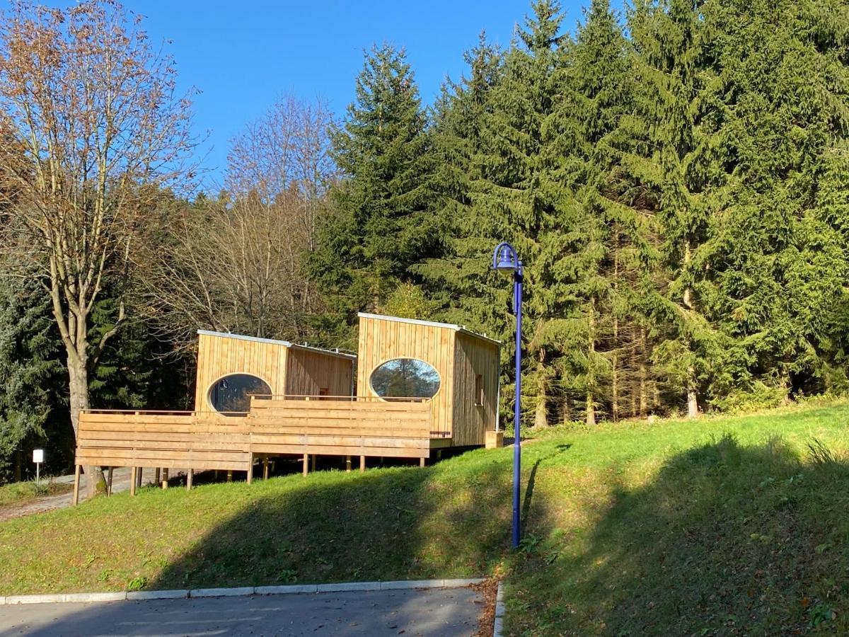 Zinipi Retreat Gelenau "Eber" Villa Wiltzsch Exteriör bild
